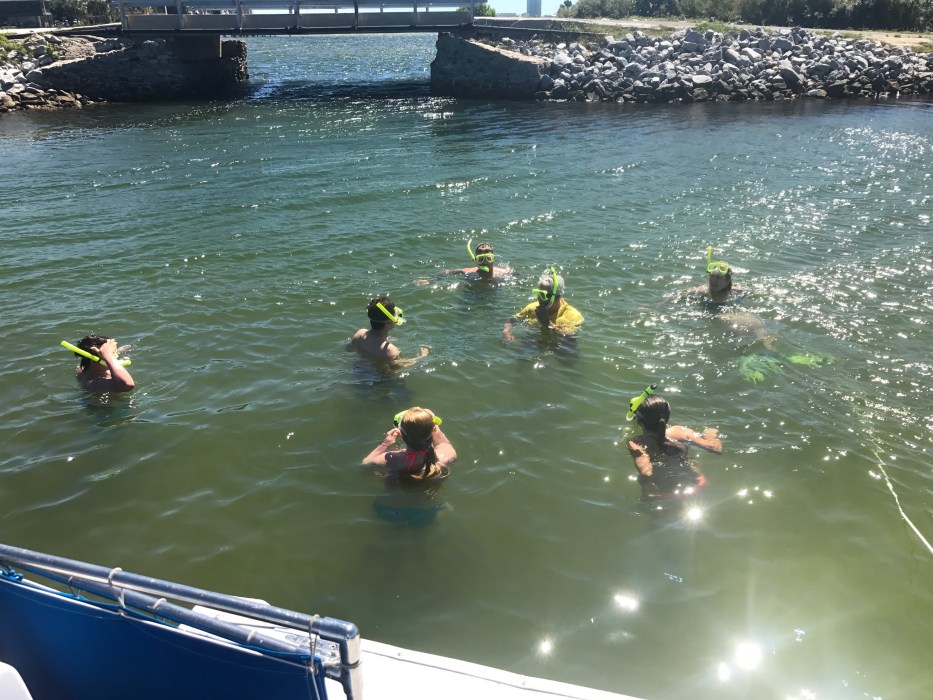 Snorkeling in Pensacola Tours Jolly Sailing & Dolphin Cruise