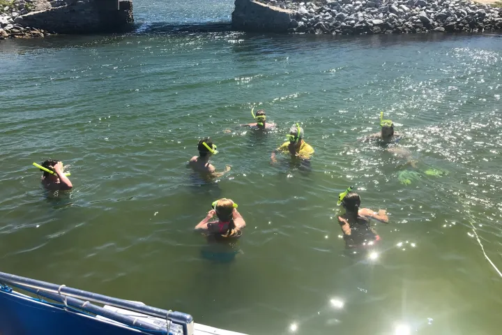 Snorkeling