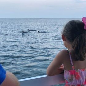 young girl watching dolphins