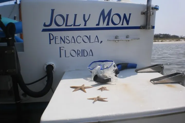 sealife on the swim platform
