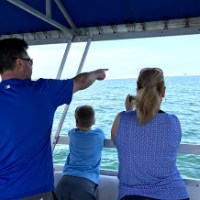 family watching dolphins