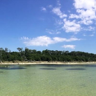 Naval Live Oaks snorkel spot