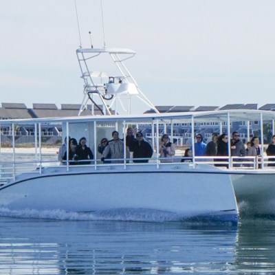 A white catamaran with people onboard sails near a shoreline with apartment buildings.