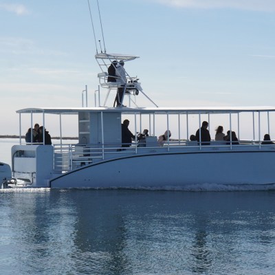 Blue catamaran boat with passengers cruising on calm water under a clear sky.