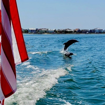 Two dolphins leaping from water near a boat with an American flag.