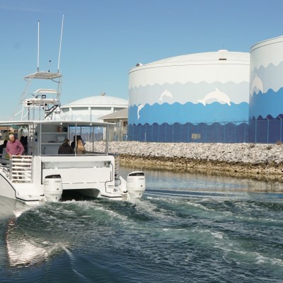 Boat navigating water channel near large tanks painted with dolphins.