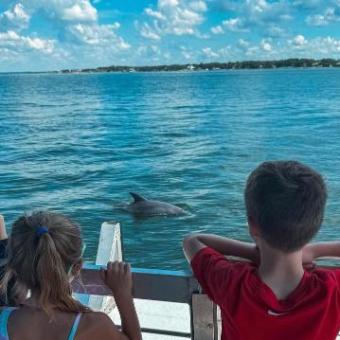 Kids on a boat watch a dolphin swimming in the ocean under a blue sky.