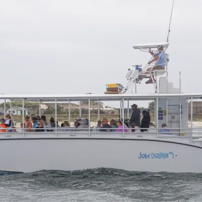 Tour boat with passengers on water, shoreline visible in background.