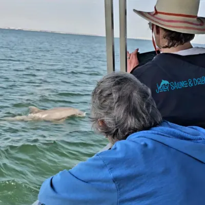 Two people on a boat watching a dolphin swimming in the ocean.