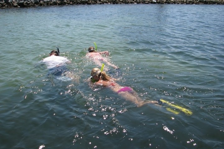 Three people snorkeling in shallow water near a rocky shoreline.
