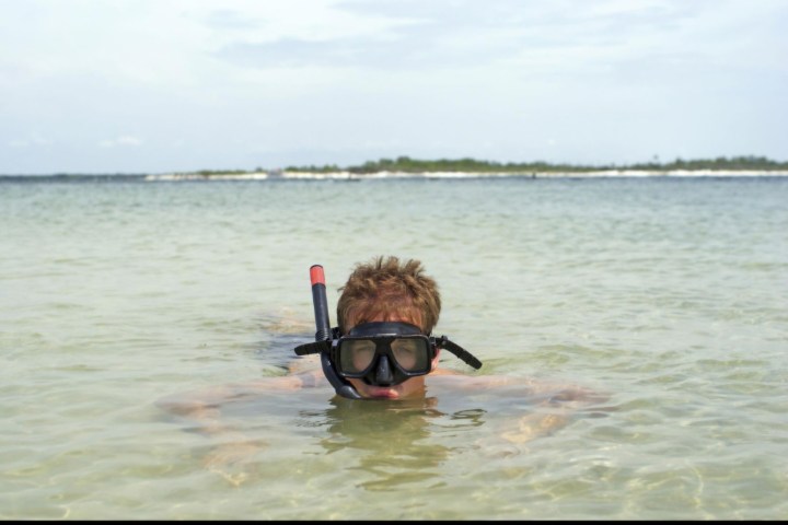 Person snorkeling in shallow, clear ocean water near a distant shoreline.