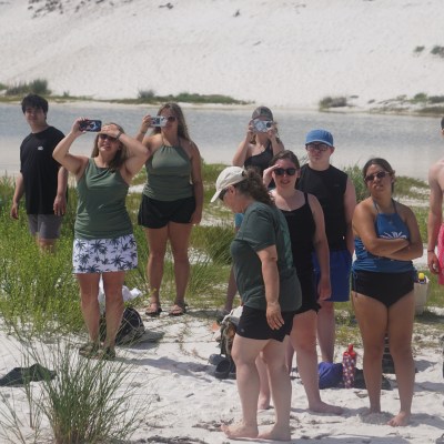 Group of people taking photos on a sandy beach with grassy dunes.